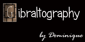 Gibraltography logo